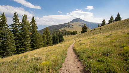 Bozeman M Trail